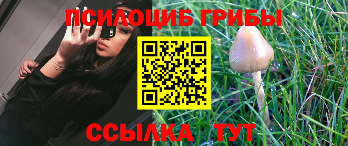 Заинск  Галлюциногенные грибы мухоморы  Псилоцибиновые грибы Psilocybe  Вход с VPN 